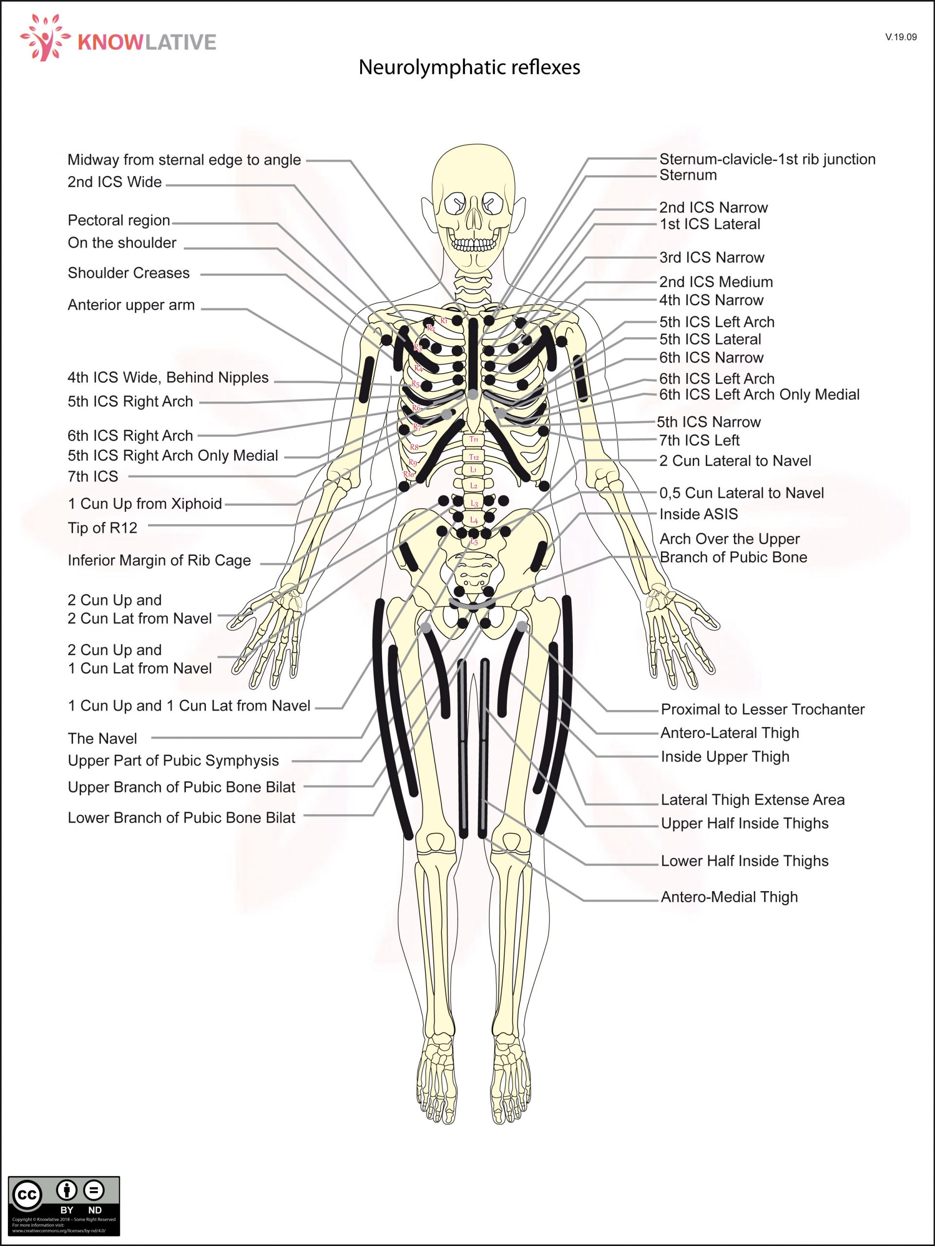 Anterior Neurolymphatic (NL) Reflexes - Knowlative